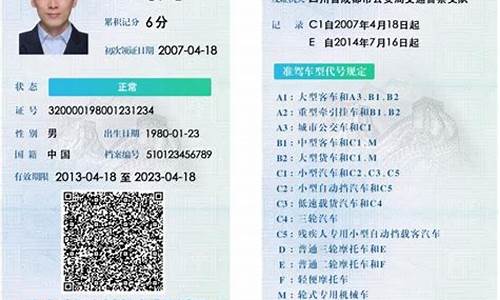 本人驾驶证信息查询_本人驾驶证信息查询官网