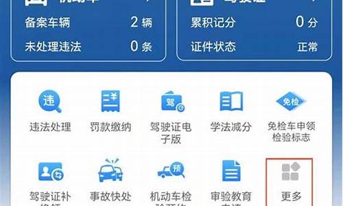 查违法违章查询_查违法违章查询app