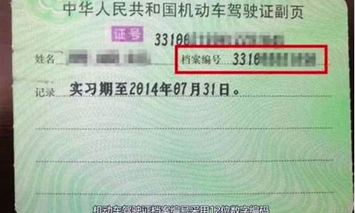 机动车驾驶证档案编号查询_机动车驾驶证档案编号查询12123