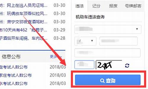 怎么查询非本人车辆违章_怎么查询非本人车辆违章记录