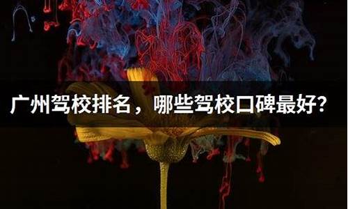 广州驾校口碑排名_广州驾校排行榜揭晓